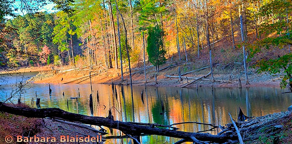 View of Falls Lake from Rockcliff Farm.