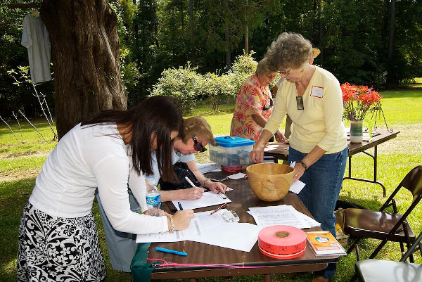 A Year at Rockcliff Farm